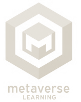 Metaverse Learning